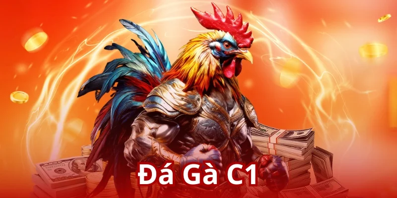 Đá Gà C1 BJ88